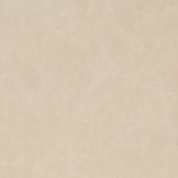 Cappuccino Upholstery Swatch - Cream