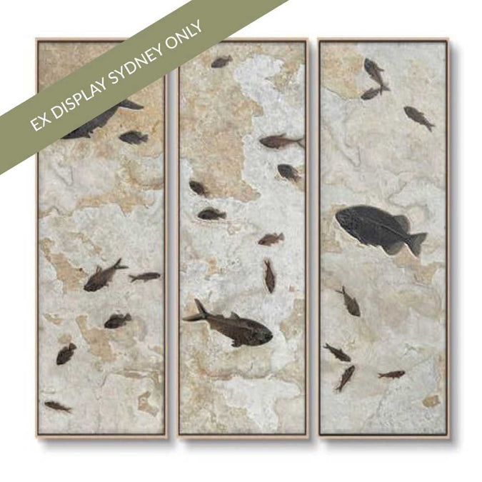 Fossilised Set of Three Oil On Canvas Painting - OUTLET NSW
