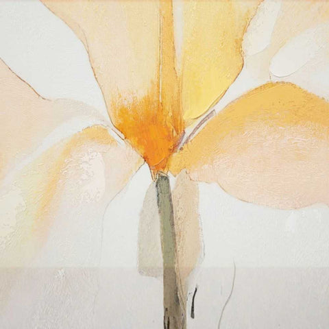 Soft Iris Set of Two Canvas Paintings