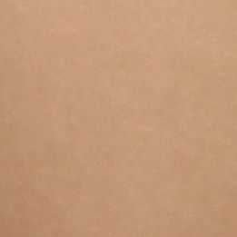 Leatherette Upholstery Swatch - Tan