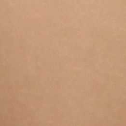 Leatherette Upholstery Swatch - Tan