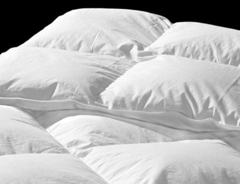  InterContinental King Quilt - Bedding - Eleganté